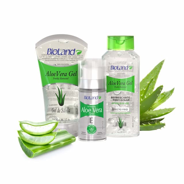 Aloe Vera